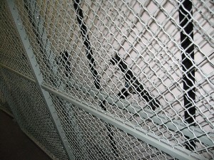 Weapon Cages with mobile shelving